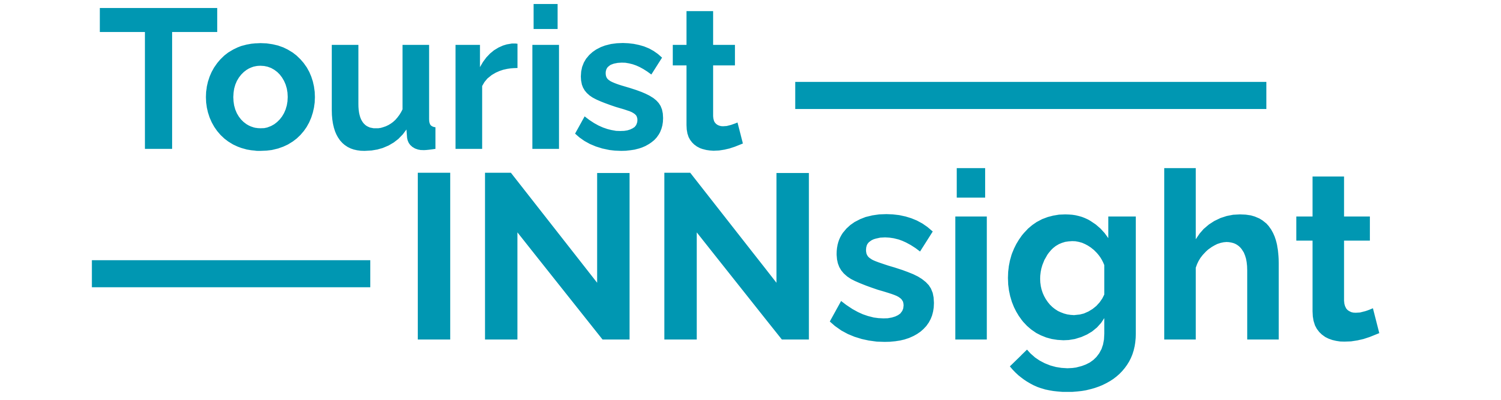 Tourist Insight Logo